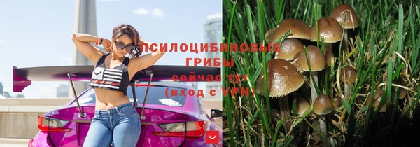 mix Алексеевка