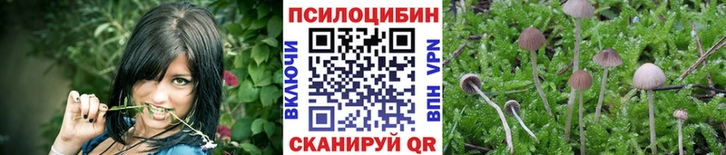 blacksprut ONION  Грайворон  Галлюциногенные грибы Cubensis 